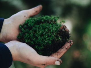 3 cosas que pueden ayudar a salvar el planeta