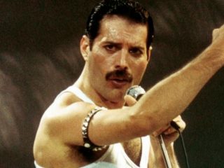 Gato se vuelve viral por parecerse a Freddie Mercury