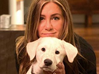 Jennifer Aniston es interrumpida por sus perros mientras se ejercita