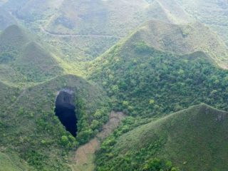 ECOLOGÍA: Hallan en China un bosque que crece dentro de una gigantesca fosa recién descubierta