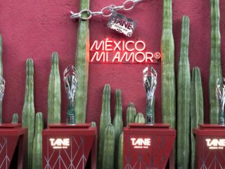 Así lucen los trofeos del México GP