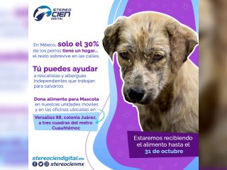 ¡Ya está aquí! Colecta de alimento para mascotas a Beneficio de Rescatistas y Albergues Independientes