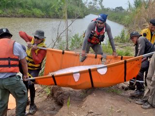 ¡Buenas noticas! Rescatan a delfines rosados en la selva amazónica de Bolivia