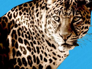 Zoomusicología, animatrónicos y algunos animales de personajes famosos