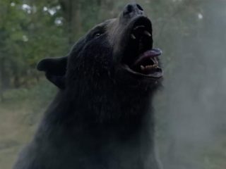 El impresionante nuevo tráiler de Cocaine Bear