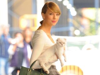 Según los informes, el gato de Taylor Swift vale £80 millones