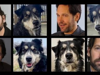 Refugio de animales pide a Paul Rudd que adopte un perro que se parece a él