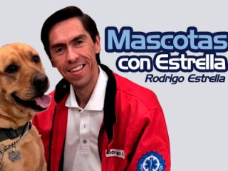 Mascotas con Estrella con Rodrigo Estrella