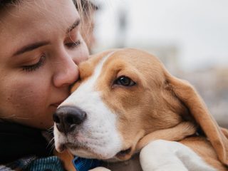 ¿Alergia a mascotas?