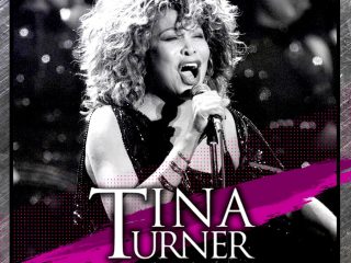 Tina Turner Wildest Dreams