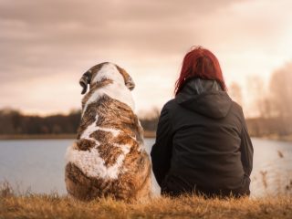 Los beneficios de tener una mascota